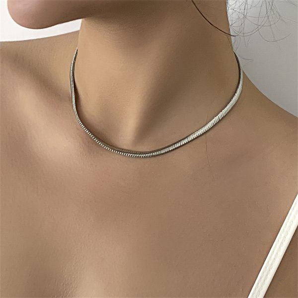 Silver-Plated Snake Chain Necklace Online Hot Sale